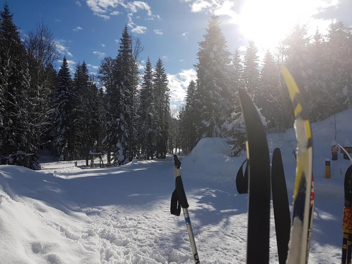 Auberge-Refuge de Roybon Saint-Martin-en-Vercors Eksteriør billede